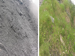 城市周邊破碎山體快速綠化修復技術(shù)