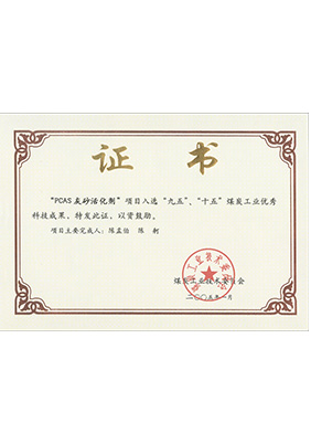 2005年1月PCAS灰砂活化劑獲“九五、十五”科技成果獎(jiǎng)